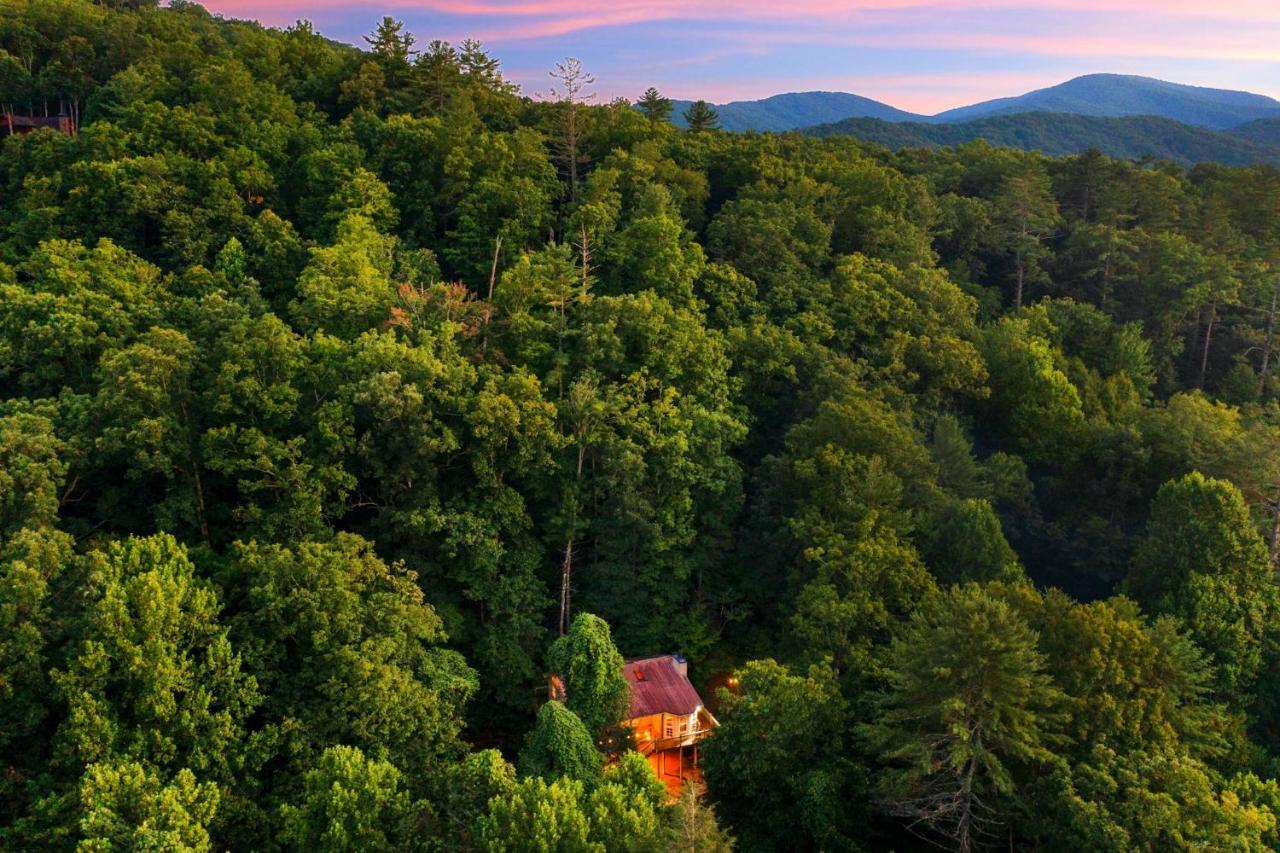 Cozy Cabin Retreat - Hot Tub, Fireplace & Fire Pit Blue Ridge Exteriér fotografie